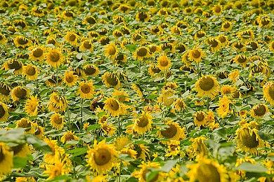 华纳游戏部门表现良好 为华纳财报作出强有力贡献